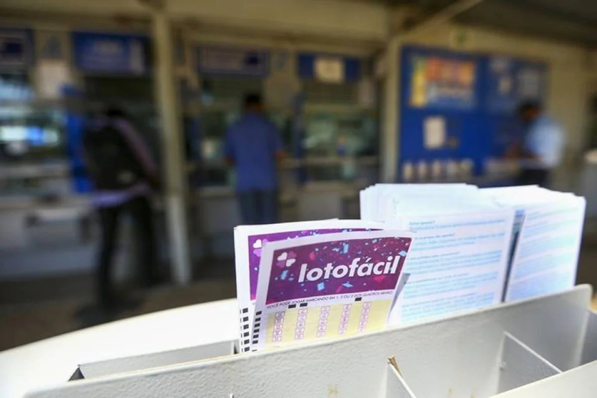 Três ganhadores dividem prêmio principal da Lotofácil 3815. Veja resultado - imagem 2